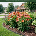 Moab Sunset Coneflower (Echinacea) — Woodbury, MN